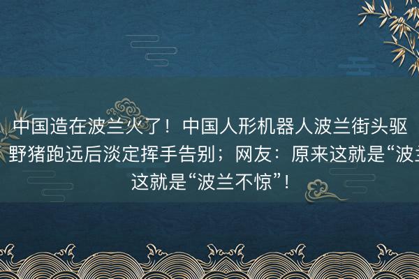 中国造在波兰火了！中国人形机器人波兰街头驱赶野猪，野猪跑远后淡定挥手告别；网友：原来这就是“波兰不惊”！