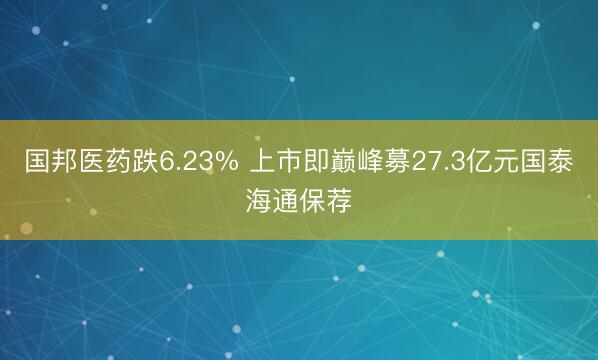 国邦医药跌6.23% 上市即巅峰募27.3亿元国泰海通保荐