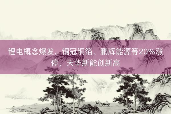 锂电概念爆发，铜冠铜箔、鹏辉能源等20%涨停，天华新能创新高