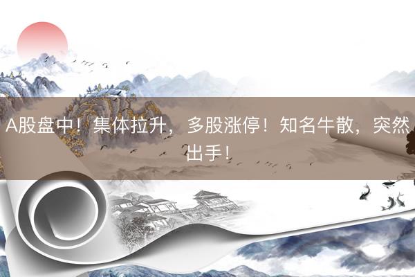 A股盘中！集体拉升，多股涨停！知名牛散，突然出手！