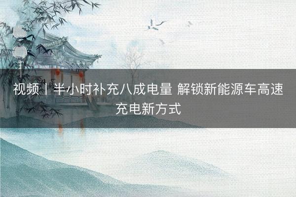 视频丨半小时补充八成电量 解锁新能源车高速充电新方式