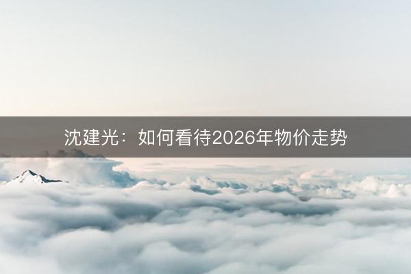 沈建光:如何看待2026年物价走势