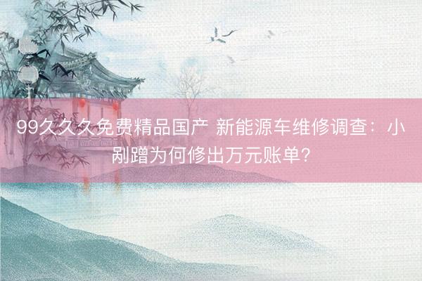 99久久久免费精品国产 新能源车维修调查：小剐蹭为何修出万元账单？