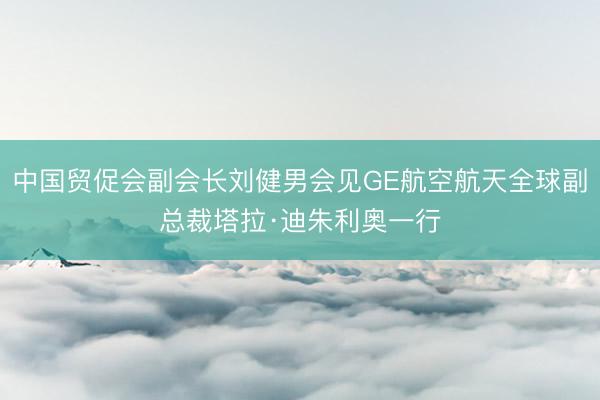 中国贸促会副会长刘健男会见GE航空航天全球副总裁塔拉·迪朱利奥一行