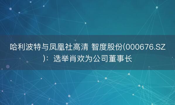 哈利波特与凤凰社高清 智度股份(000676.SZ)：选举肖欢为公司董事长