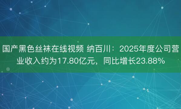 国产黑色丝袜在线视频 纳百川：2025年度公司营业收入约为17.80亿元，同比增长23.88%