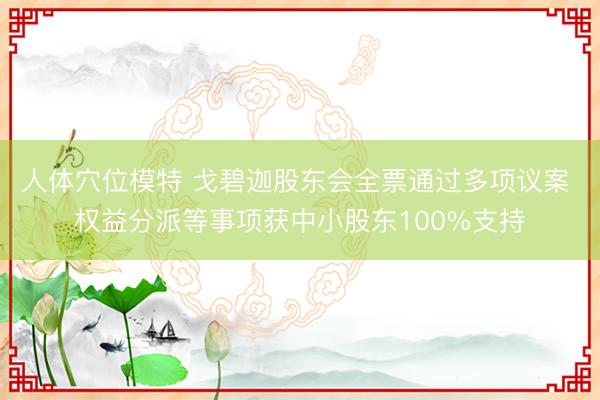 人体穴位模特 戈碧迦股东会全票通过多项议案 权益分派等事项获中小股东100%支持