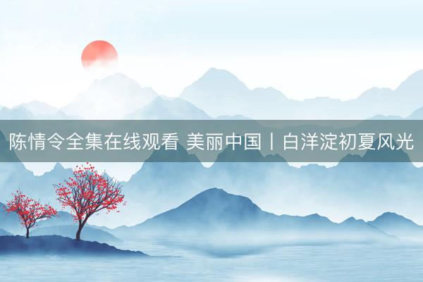 陈情令全集在线观看 美丽中国丨白洋淀初夏风光