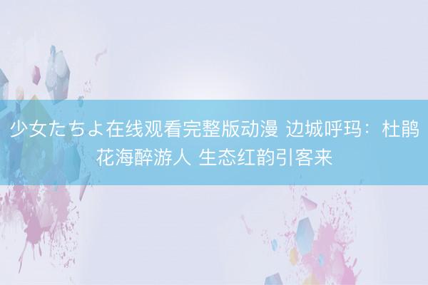 少女たちよ在线观看完整版动漫 边城呼玛：杜鹃花海醉游人 生态红韵引客来