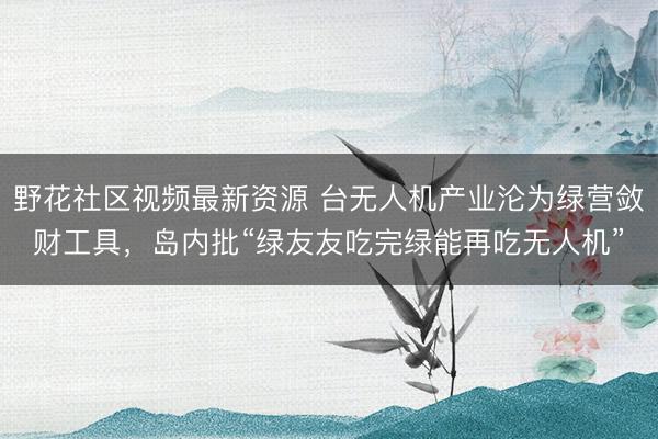 野花社区视频最新资源 台无人机产业沦为绿营敛财工具，岛内批“绿友友吃完绿能再吃无人机”