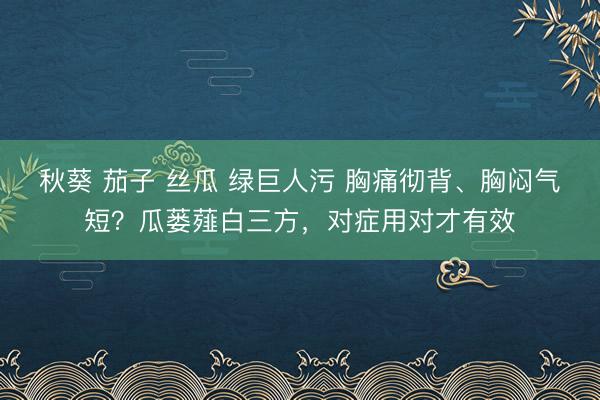 秋葵 茄子 丝瓜 绿巨人污 胸痛彻背、胸闷气短？瓜蒌薤白三方，对症用对才有效