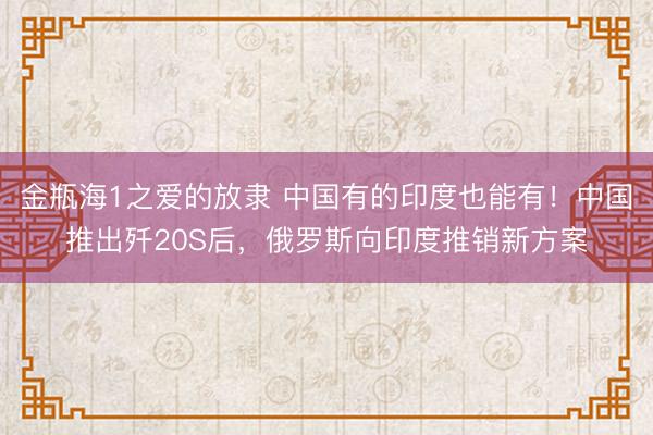 金瓶海1之爱的放隶 中国有的印度也能有！中国推出歼20S后，俄罗斯向印度推销新方案