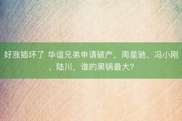 好涨插坏了 华谊兄弟申请破产，周星驰、冯小刚、陆川，谁的黑锅最大？