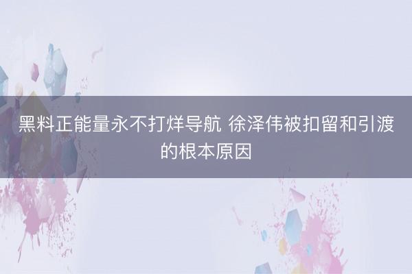 黑料正能量永不打烊导航 徐泽伟被扣留和引渡的根本原因