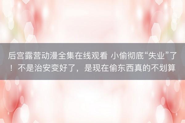 后宫露营动漫全集在线观看 小偷彻底“失业”了！不是治安变好了，是现在偷东西真的不划算