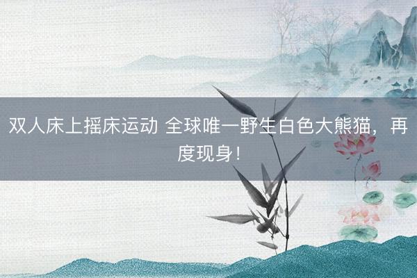 双人床上摇床运动 全球唯一野生白色大熊猫，再度现身！