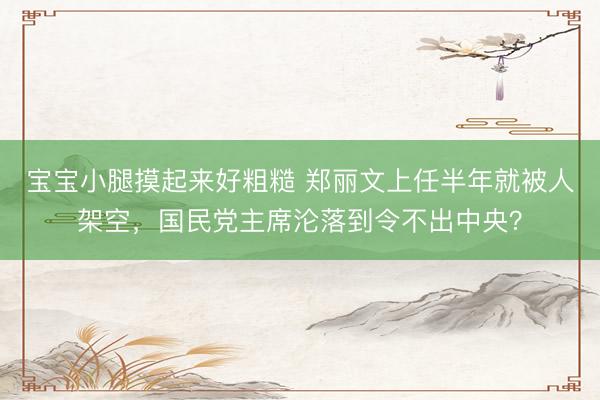 宝宝小腿摸起来好粗糙 郑丽文上任半年就被人架空，国民党主席沦落到令不出中央？