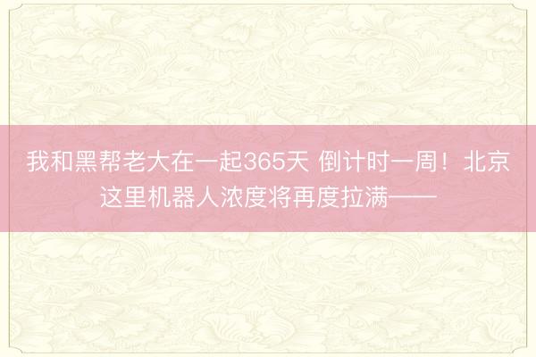 我和黑帮老大在一起365天 倒计时一周！北京这里机器人浓度将再度拉满——