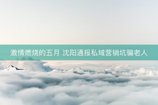 激情燃烧的五月 沈阳通报私域营销坑骗老人