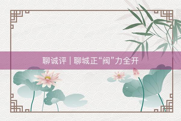 聊诚评 | 聊城正“阀”力全开