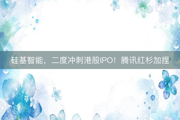 硅基智能，二度冲刺港股IPO！腾讯红杉加捏