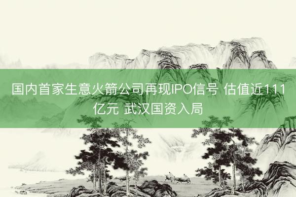 国内首家生意火箭公司再现IPO信号 估值近111亿元 武汉国资入局