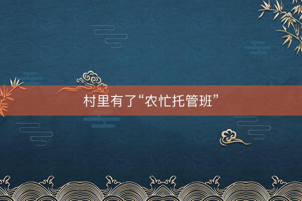 村里有了“农忙托管班”