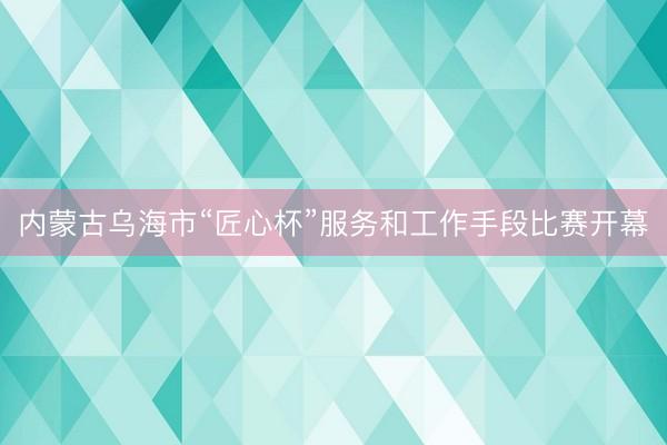 内蒙古乌海市“匠心杯”服务和工作手段比赛开幕