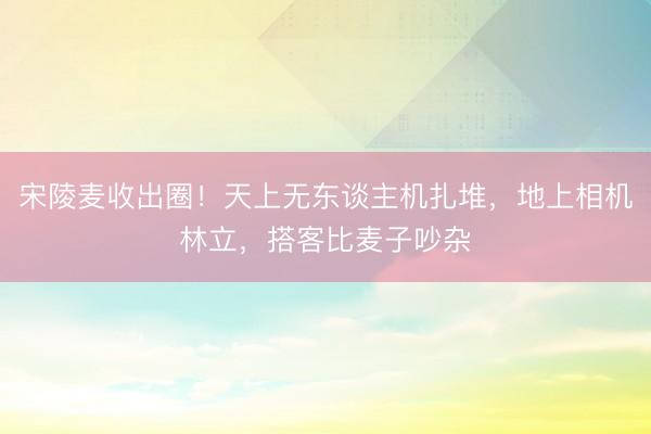 宋陵麦收出圈！天上无东谈主机扎堆，地上相机林立，搭客比麦子吵杂