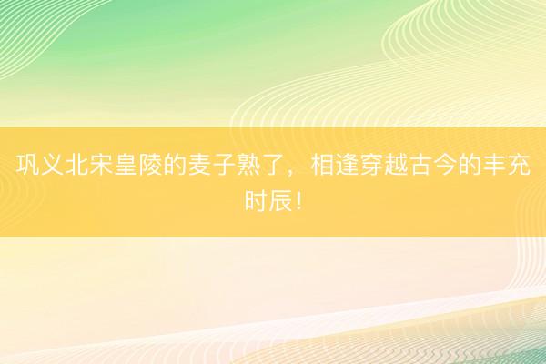 巩义北宋皇陵的麦子熟了，相逢穿越古今的丰充时辰！