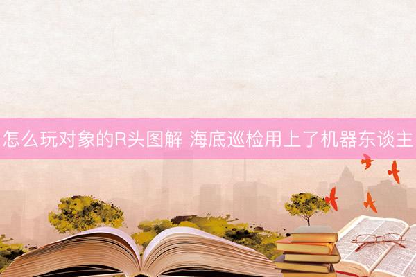 怎么玩对象的R头图解 海底巡检用上了机器东谈主