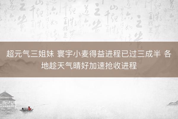超元气三姐妹 寰宇小麦得益进程已过三成半 各地趁天气晴好加速抢收进程
