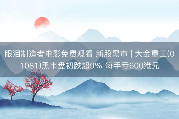 眼泪制造者电影免费观看 新股黑市 | 大金重工(01081)黑市盘初跌超9% 每手亏600港元