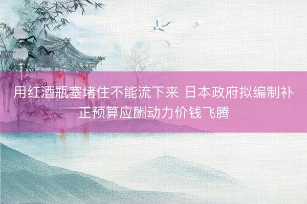 用红酒瓶塞堵住不能流下来 日本政府拟编制补正预算应酬动力价钱飞腾