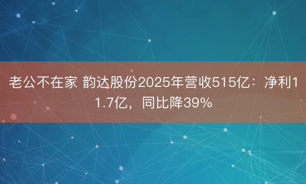 老公不在家 韵达股份2025年营收515亿：净利11.7亿，同比降39%