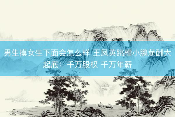 男生摸女生下面会怎么样 王凤英跳槽小鹏薪酬大起底：千万股权 千万年薪