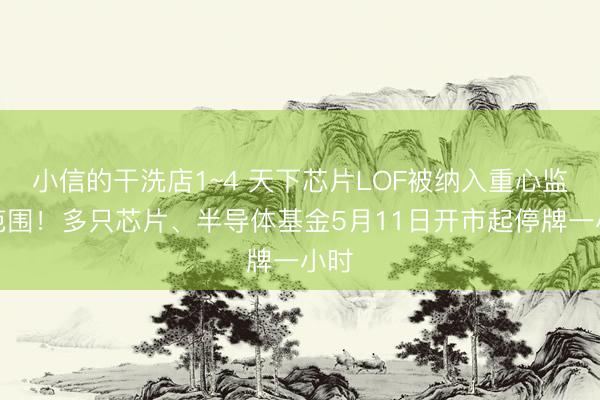 小信的干洗店1~4 天下芯片LOF被纳入重心监控范围！多只芯片、半导体基金5月11日开市起停牌一小时