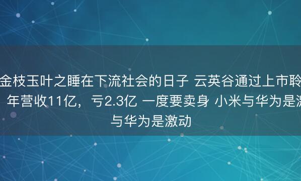 金枝玉叶之睡在下流社会的日子 云英谷通过上市聆讯：年营收11亿，亏2.3亿 一度要卖身 小米与华为是激动