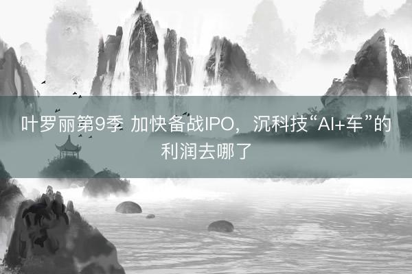叶罗丽第9季 加快备战IPO，沉科技“AI+车”的利润去哪了