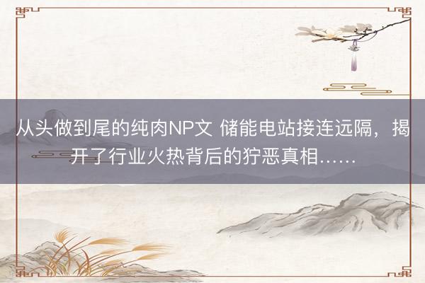 从头做到尾的纯肉NP文 储能电站接连远隔，揭开了行业火热背后的狞恶真相……