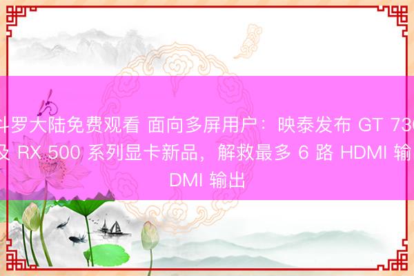 斗罗大陆免费观看 面向多屏用户：映泰发布 GT 730 及 RX 500 系列显卡新品，解救最多 6 路 HDMI 输出