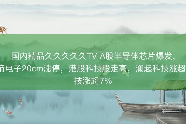 国内精品久久久久久TV A股半导体芯片爆发，蓝箭电子20cm涨停，港股科技股走高，澜起科技涨超7%
