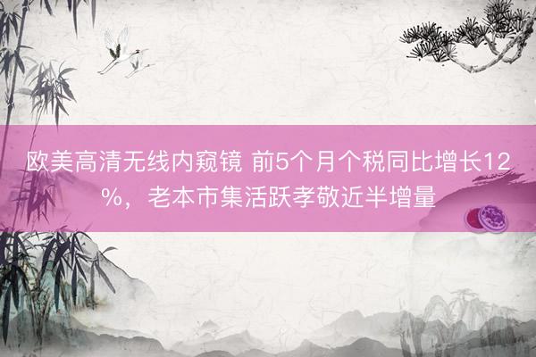 欧美高清无线内窥镜 前5个月个税同比增长12%，老本市集活跃孝敬近半增量