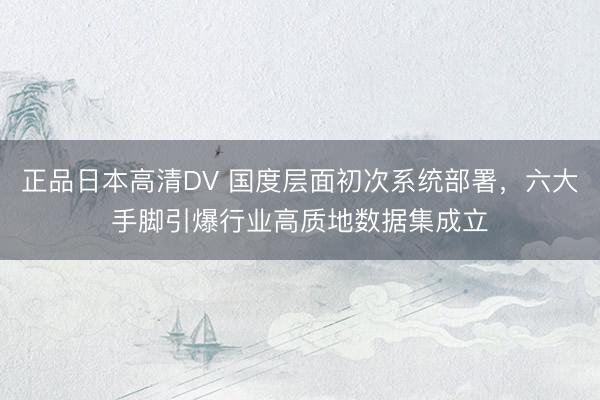 正品日本高清DV 国度层面初次系统部署，六大手脚引爆行业高质地数据集成立
