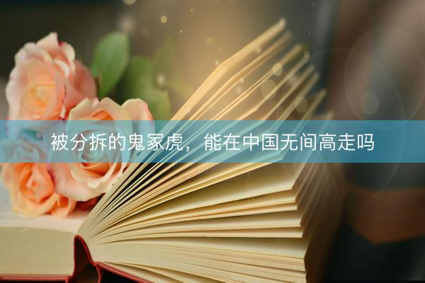被分拆的鬼冢虎，能在中国无间高走吗