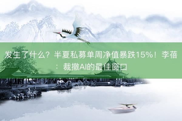 发生了什么？半夏私募单周净值暴跌15%！李蓓：裁撤AI的最佳窗口
